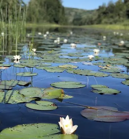 Glamping On Idyllic Lake, Paddle Boards & Rowboat Porsgrunn Exterior photo