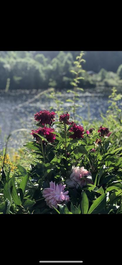 Luxuszelt Glamping On Idyllic Lake, Paddle Boards & Rowboat *