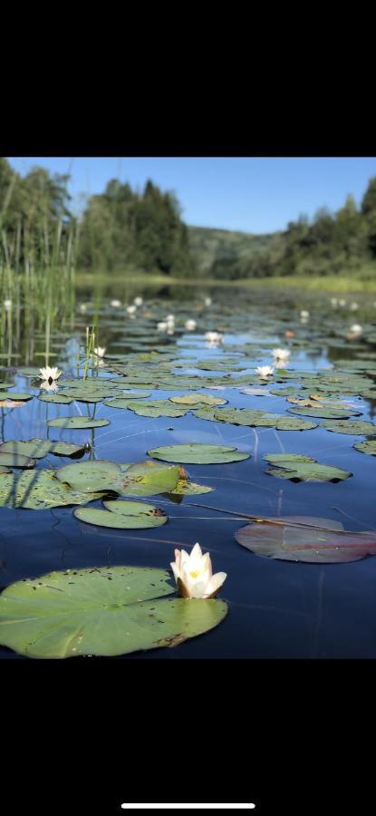 Glamping On Idyllic Lake, Paddle Boards & Rowboat Porsgrunn