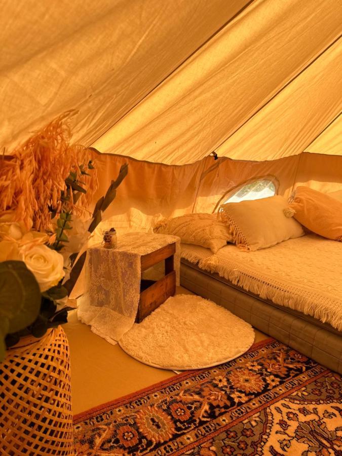 Glamping On Idyllic Lake, Paddle Boards & Rowboat Luxuszelt