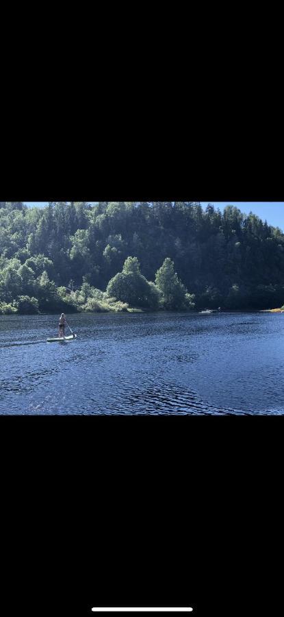Glamping On Idyllic Lake, Paddle Boards & Rowboat