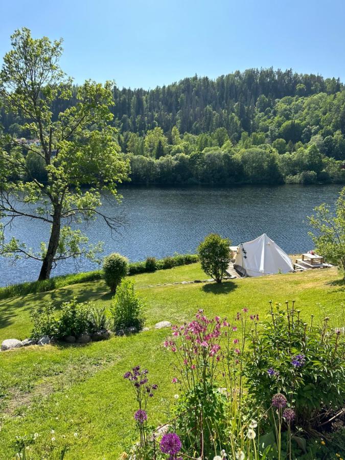 Glamping On Idyllic Lake, Paddle Boards & Rowboat *